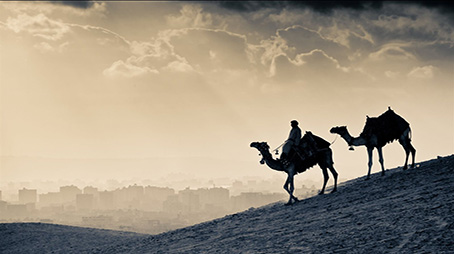 وقفات مع الرحلة إلى الطائف