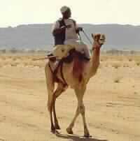 Darfur Rebels Deny Signing Truce Agreement