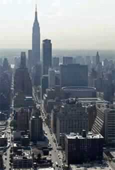 Meltdown Makes Americans Think about the Future