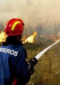 New Blazes Rage out of Control in Portugal