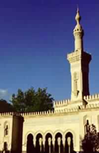 Poll Chance for US Muslims