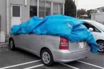 Nine Die in Net Suicide Pact