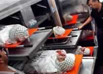 Israeli Troops Kill Two Palestinians