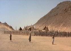 The Battle of Badr and the Issue of the Captives - II